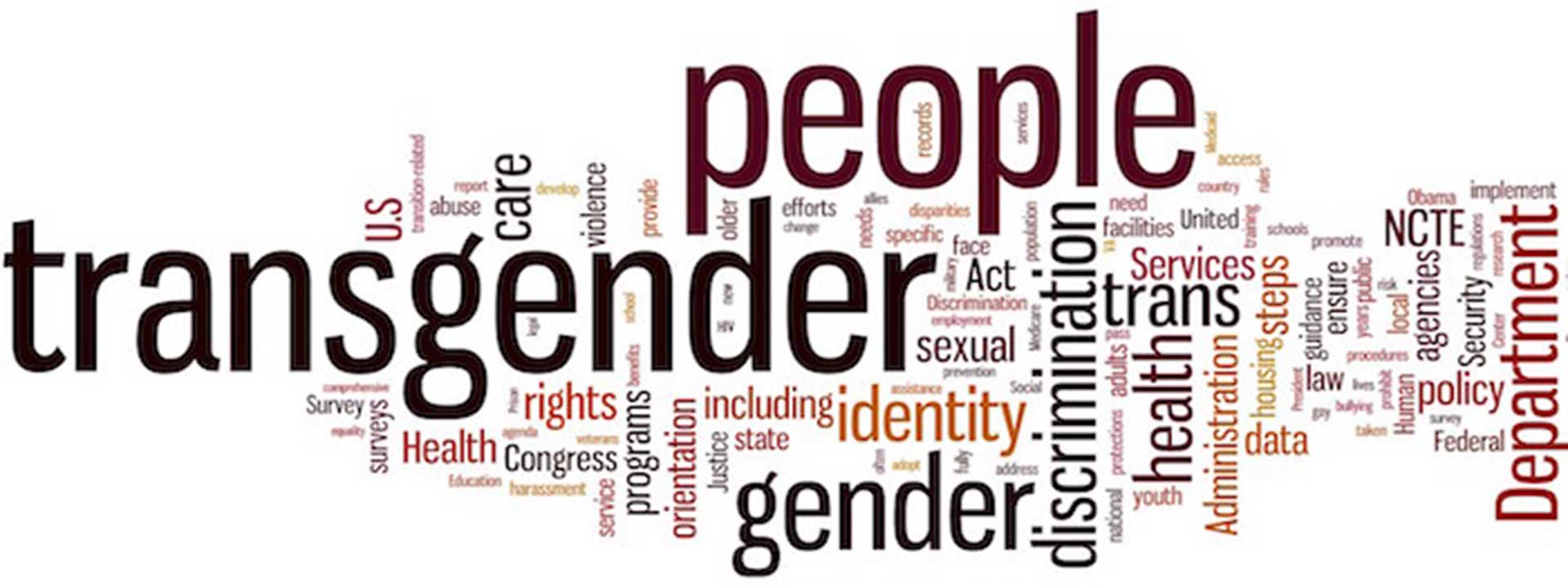 Transgender-People-Graphic-Plate-Slider